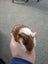 Baby Guinea Pig Brothers - Selling together - $70 pair - Pick Up Miramar Carousel 4