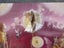 Flower Fairies Magical Moonlight Feast (Pop up book) Cicely Mary Barker Carousel 6