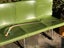 Unusual Vintage Taxidermy STING RAY # BARB & TAIL Carousel 15