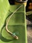 Unusual Vintage Taxidermy STING RAY # BARB & TAIL Carousel 20