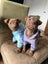 RIDGE - Ridgeback Mix Rescue Puppy Carousel 12