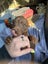 RIDGE - Ridgeback Mix Rescue Puppy Carousel 13