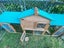 Purebred Minilop White Rabbit - Female Carousel 4