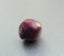 7.00MM EXTREMELY RARE NON-CULTURED 100% NATURAL PURPLE WILD PEARL Carousel 2