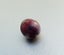 7.00MM EXTREMELY RARE NON-CULTURED 100% NATURAL PURPLE WILD PEARL Carousel 6
