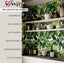 S4Sassy Removable Wallcovering, Tropical Leaf Design paper For shop wall Carousel 5