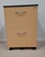 Mobile 2-Drawer Office Cabinet – On Wheels – Used Carousel 1