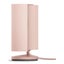 Ring Indoor Camera (2nd Gen) - Blush Carousel 2