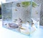 Fish Tank with fish Carousel 4