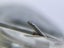 Grace F8L10 Stylus Carousel 9
