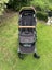 Nuna Demi Grow - seat, bassinet + extras! Carousel 2