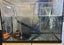 120l JAD tank with extras including 65l Jewel tank. Carousel 10