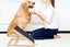 Dog Scratch Board for Nails Trimming Tool Alternative to Dog Nail Clippers Carousel 4
