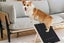 Dog Scratch Board for Nails Trimming Tool Alternative to Dog Nail Clippers Carousel 8