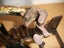 Stanley #150 antique mitre box Carousel 4