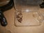 Stanley #150 antique mitre box Carousel 8