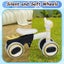 Kids Balance Bike Carousel 3