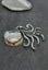 Ammonite fossil brooch Carousel 3
