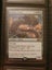 $1 Reserve! MTG - Pelakka Wurm Carousel 1