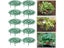 10 Pack Strawberry Supports Keeping Plant Fruit Stand Vegetable Growing Rack Carousel 3