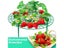 10 Pack Strawberry Supports Keeping Plant Fruit Stand Vegetable Growing Rack Carousel 7