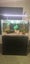 Aquarium and Stand Only Carousel 2
