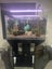 Aquarium and Stand Only Carousel 4