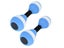 2PCS Aerobics Dumbbell Water Aquatic Barbell Pool Aqua Exercise Fitness EVA Carousel 3