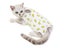 Cat Clothing Carousel 1