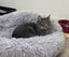 Furrytails Await – Adopt a kitten or cat for just $60 Carousel 13