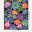 Succulent 30x40 cm 5D Diamond Art Kit Carousel 5