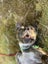 Max - Part Time Potato, Full Time Goofball Carousel 1