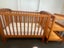Cot bed and change table Carousel 1