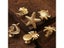 Cabinet Drawer Handle Cabinet Knob Carousel 13