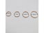 GOLDtutu 14K Gold Simple Nose Hoop Ring For Men And Women Small Nose Piercings Carousel 14