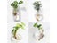 Fashion Wall Hanging Glass Vase Terrarium Aquarium Container For Home Garden Carousel 9