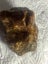 2 LUMPS VINTAGE KAURI GUM TOTAL WEIGHT 76gms Carousel 6