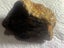 2 LUMPS VINTAGE KAURI GUM TOTAL WEIGHT 76gms Carousel 9