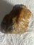 2 LUMPS VINTAGE KAURI GUM TOTAL WEIGHT 76gms Carousel 7