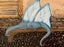 “Nuclear Free Dimension” Dreamscape Original Acrylic Carousel 4