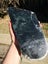 $1 reserve Pounamu greenstone big carving mere/patu slab?? Carousel 3