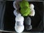 Knitting wool mix 160gm ref ; MIA7 Carousel 1