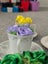 Teacup roses Carousel 2