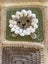 Cot blanket handmade animals Carousel 4