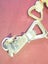 9 BOTTLE OPENERS Carousel 12