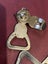 9 BOTTLE OPENERS Carousel 13
