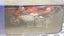MV AGUSTA 750 F4 SUPERBIKE 1:24 SCALE MODEL SUPERBIKES COLLECTION 1 ONLY Carousel 2