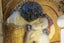 VINTAGE GUSTAV KLIMT "The Kiss" ART NOUVEAU STYLE RESIN MIRROR Carousel 5