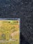 Pokemon Mega Brave - Lucario ex MUR 092 Carousel 5