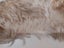 Fur Collar Trim + Floral Tin Carousel 5